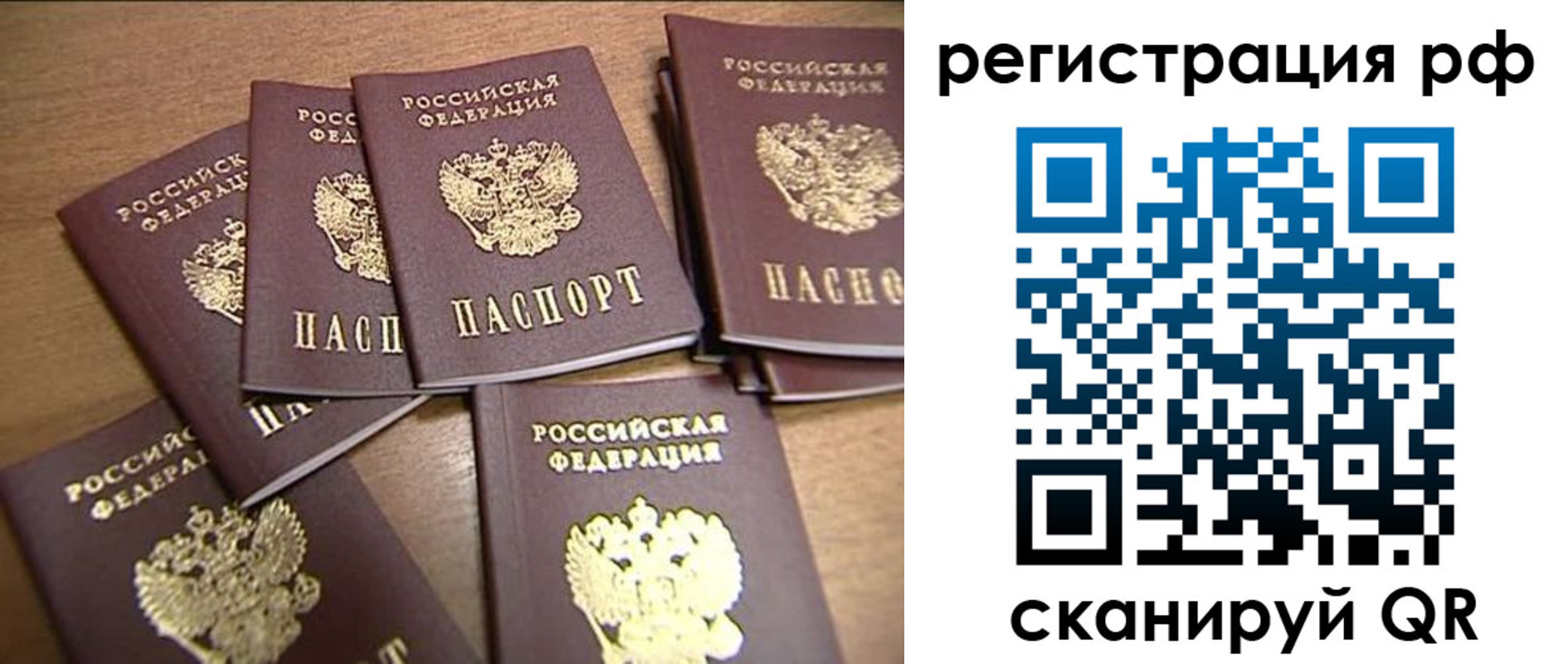 найти адрес прописки в Черноголовке